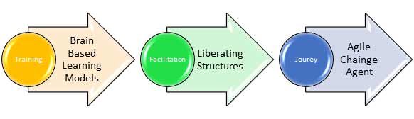 Agile Change Agent(s) 2.0