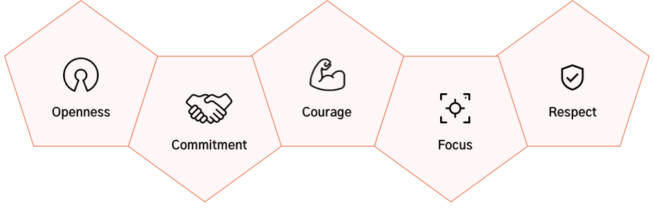 What are Scrum Values?